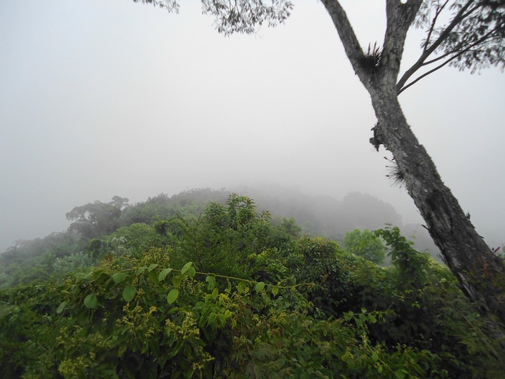 niebla en la motaña