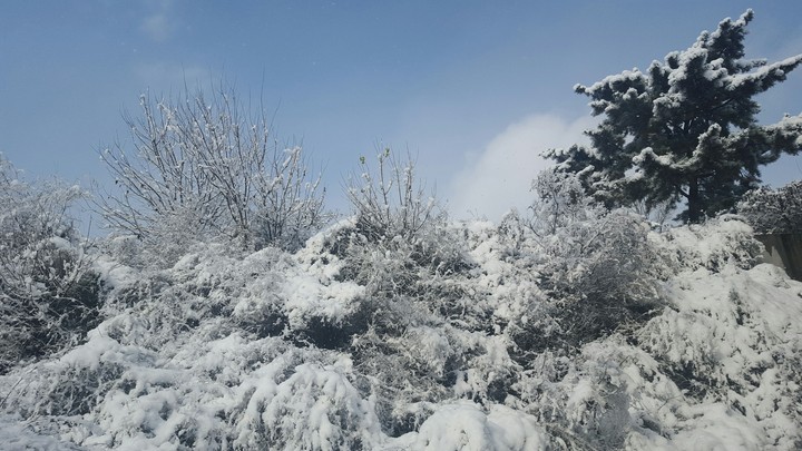 snow