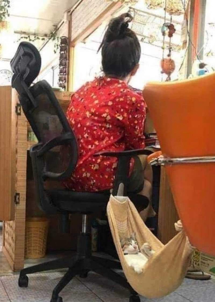 .