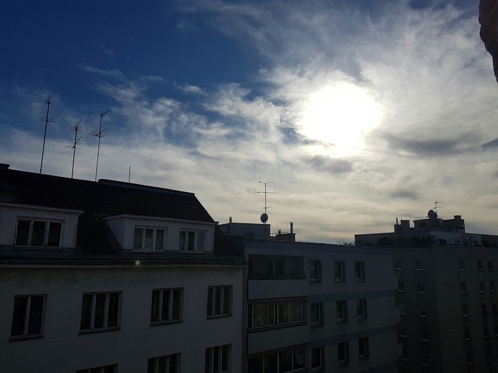 Love Wien