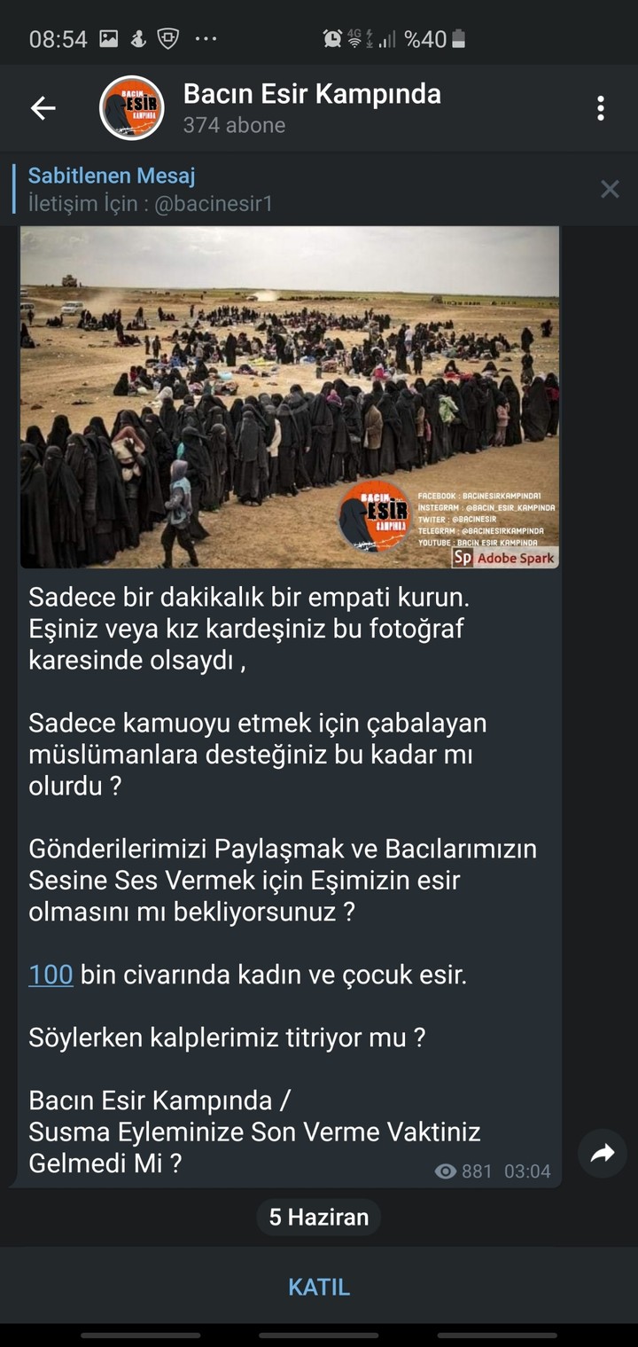 bacinesirkampinda