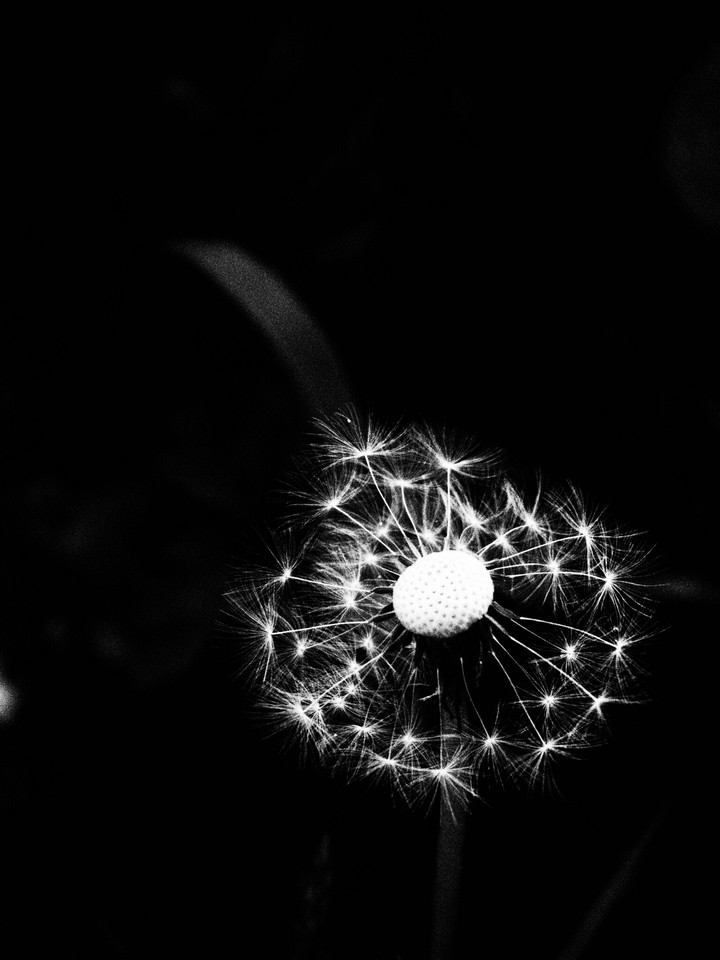 Evanescence