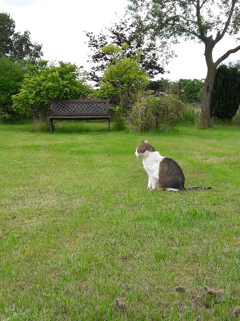 bench