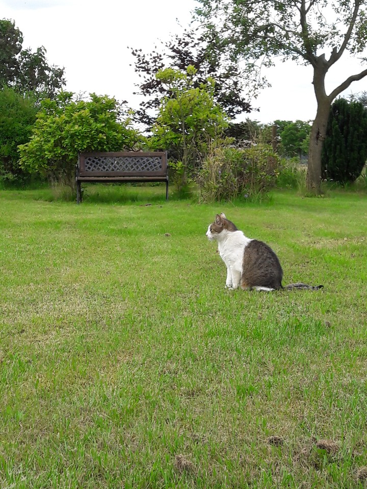 bench