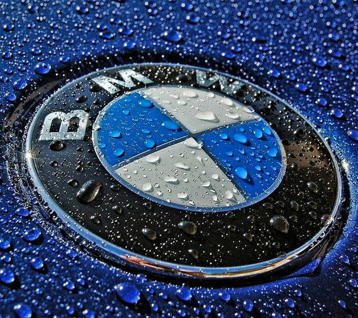 BMW logo