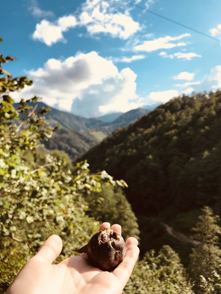 Gorgeous view...