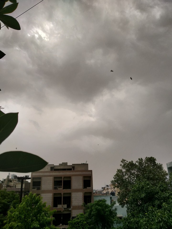 weather