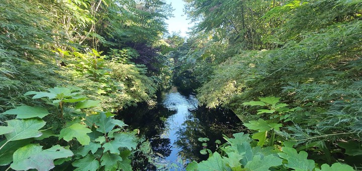 beautiful nature