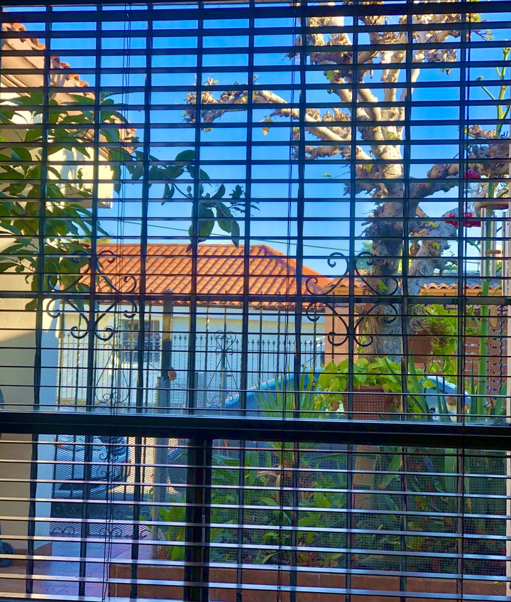 A través de mi ventana , se asoma un ángel guardián