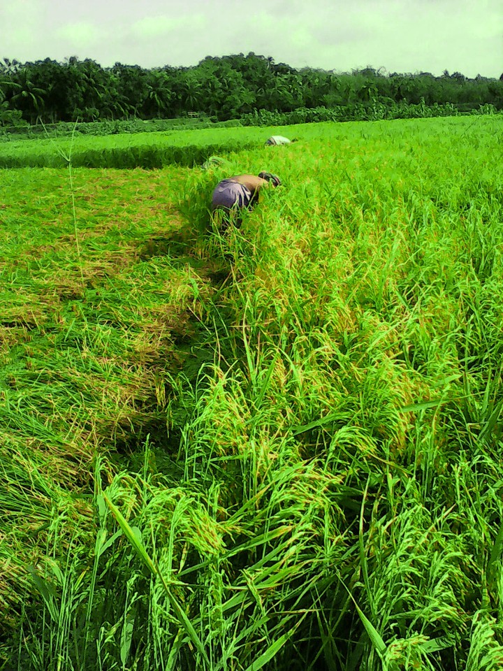 Bangladesh
