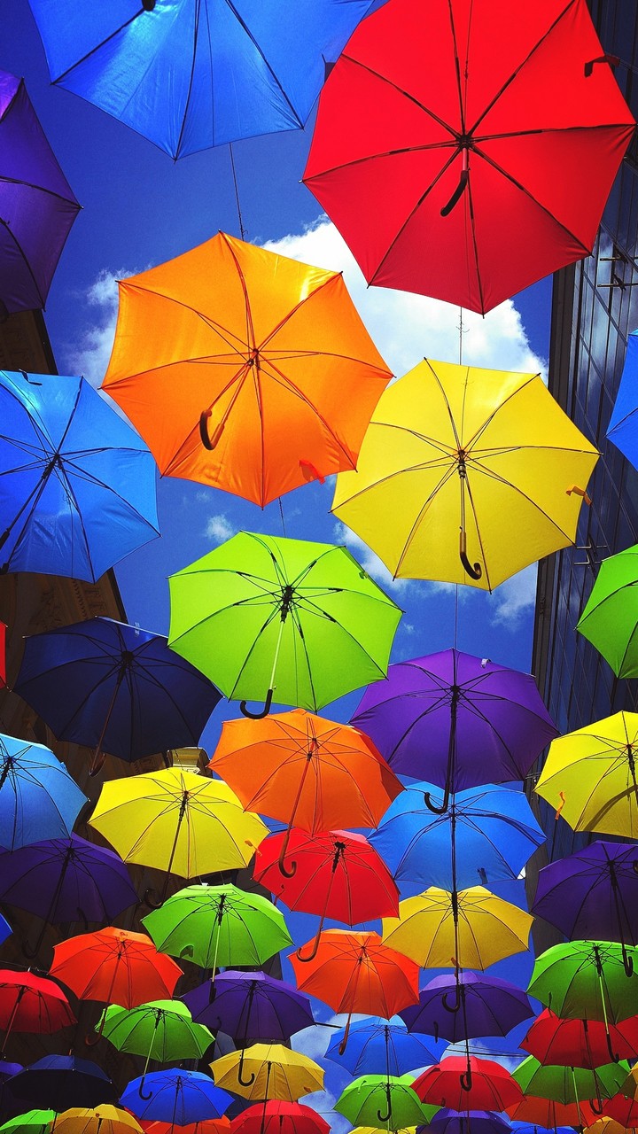 UMBRELLA SKY