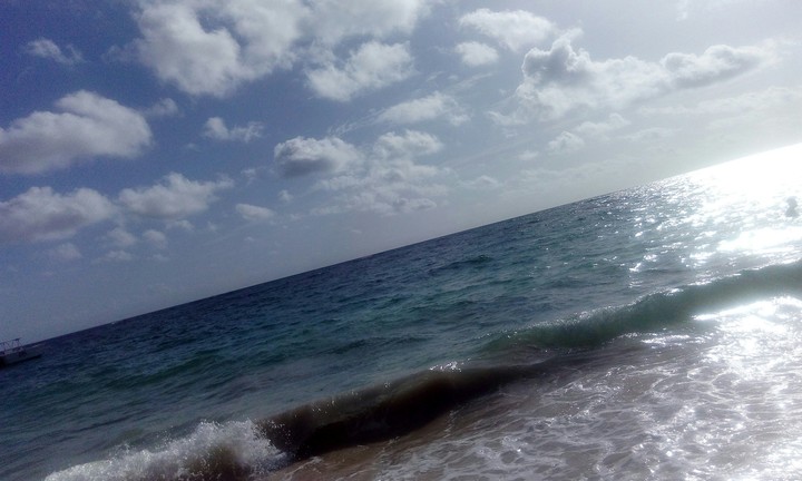 Summer sea