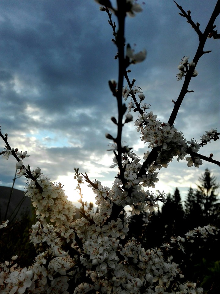sun is shinig so are you ?