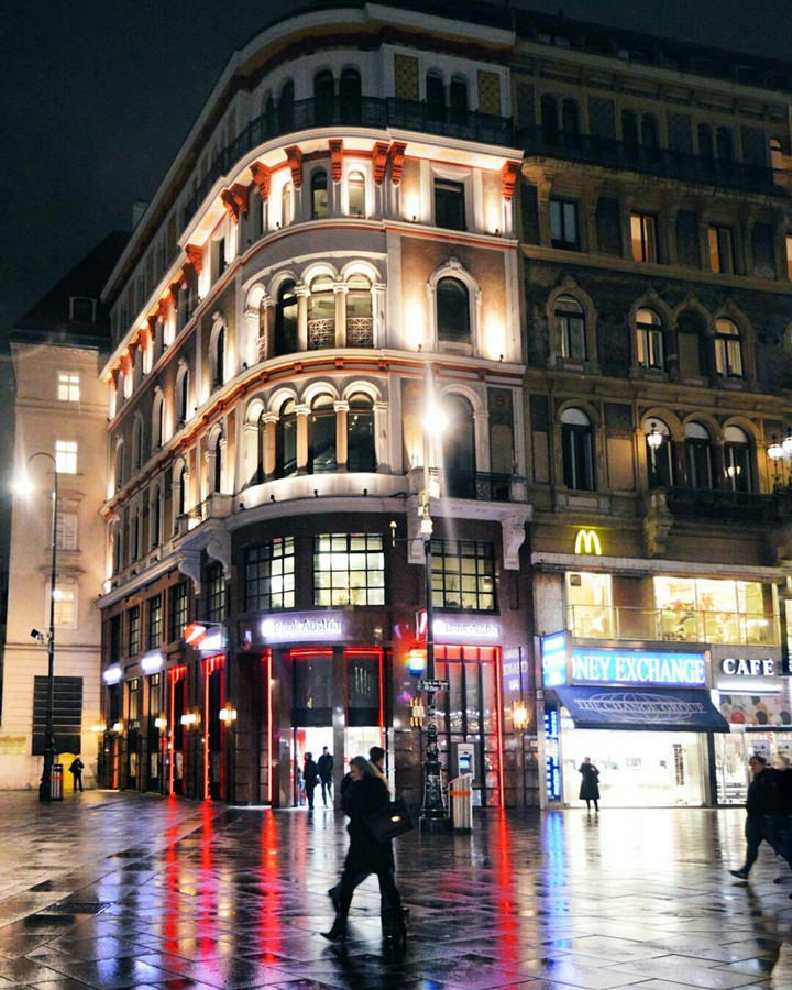 Vienna at night