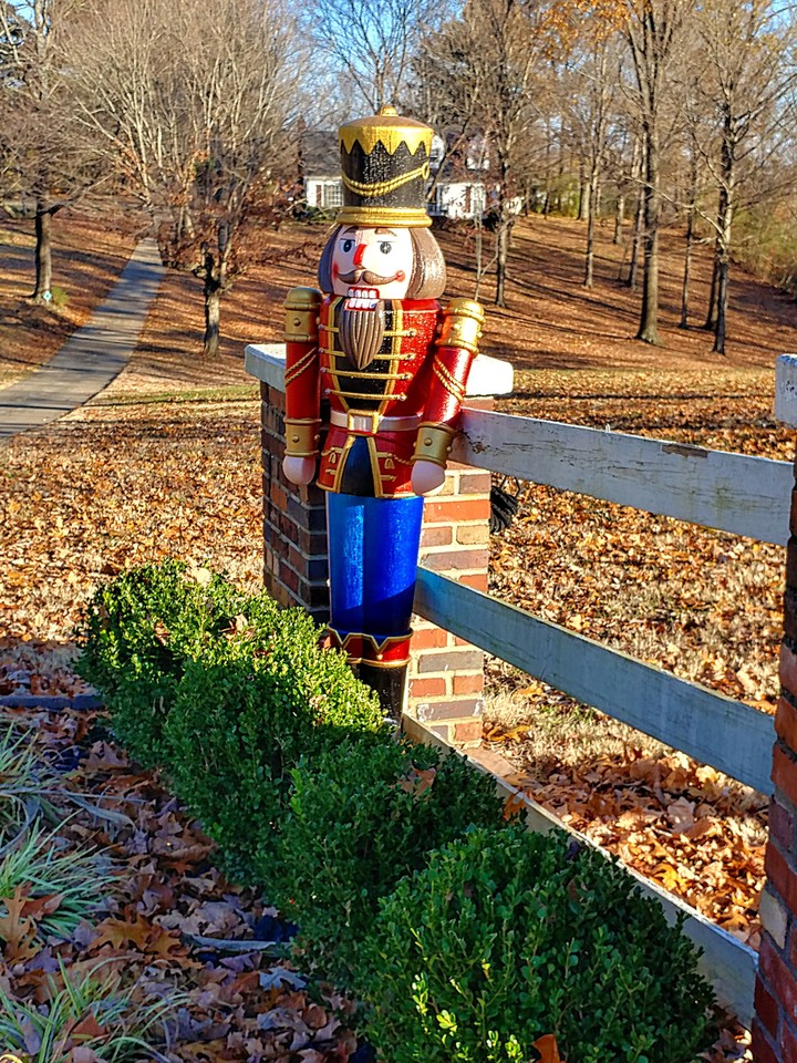 Festive Guardian