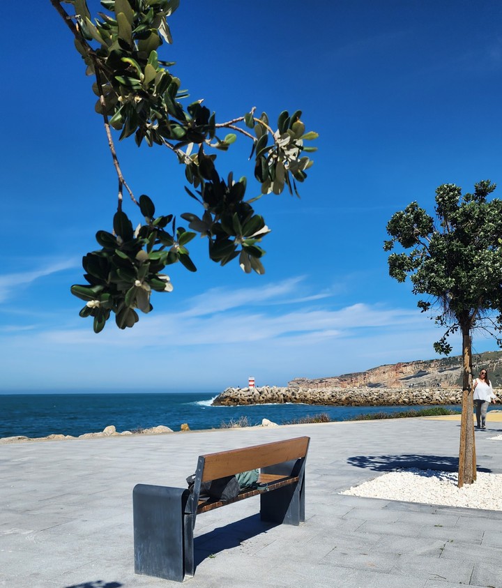 bench