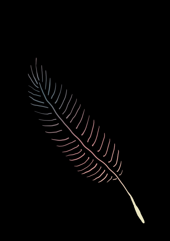 feather1