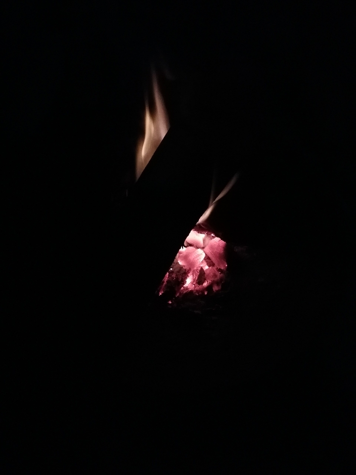 Bone Fire