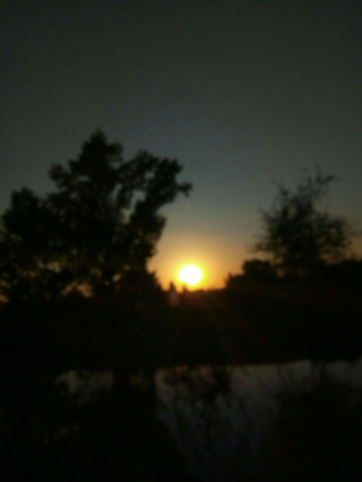 what do u think'bout me and this sunset?)