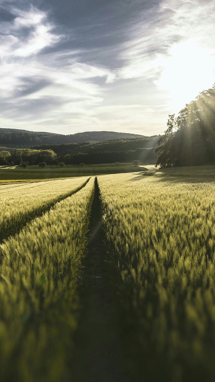 path