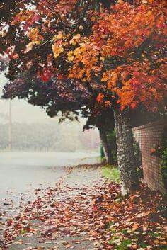 Autumn