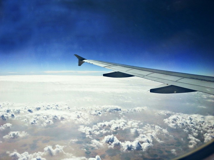 Bird eye