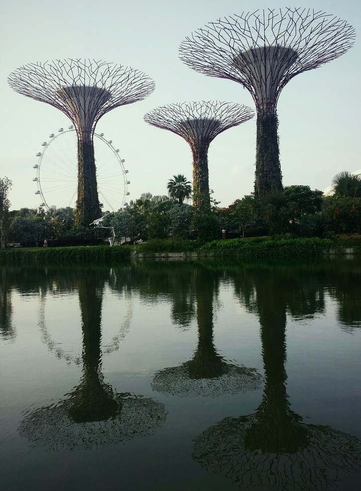Gardens By The Bay