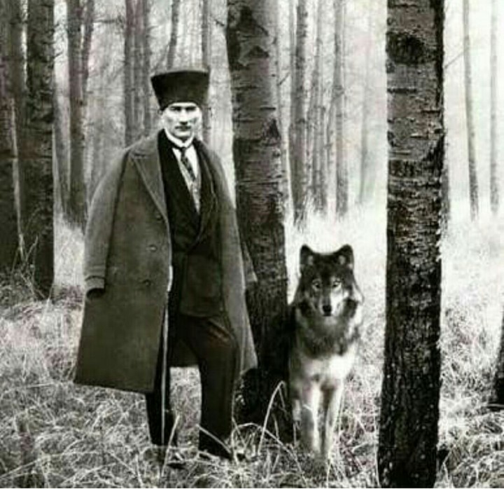 AtaM