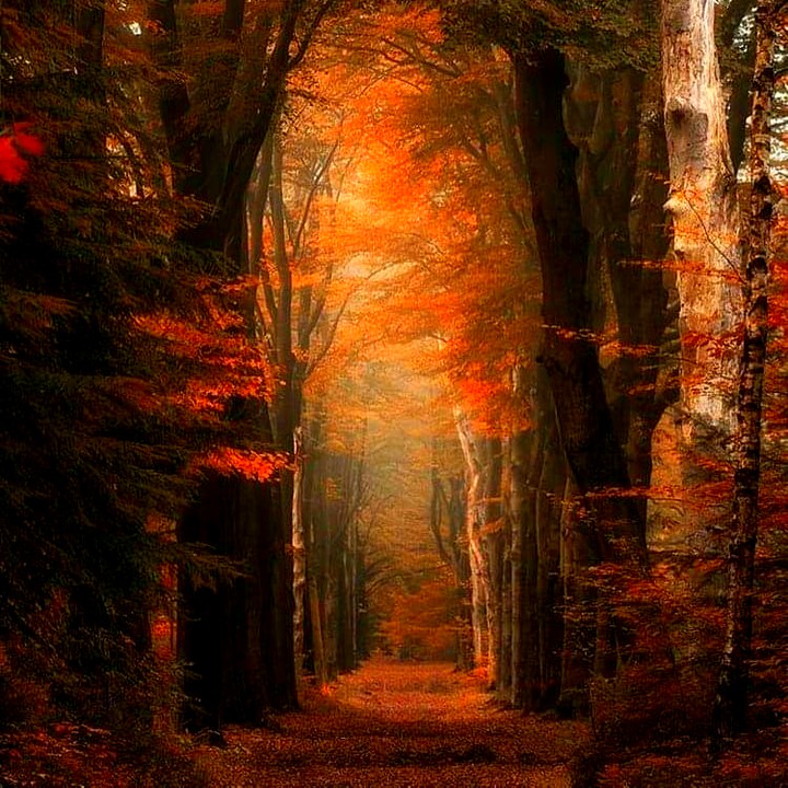 Nature