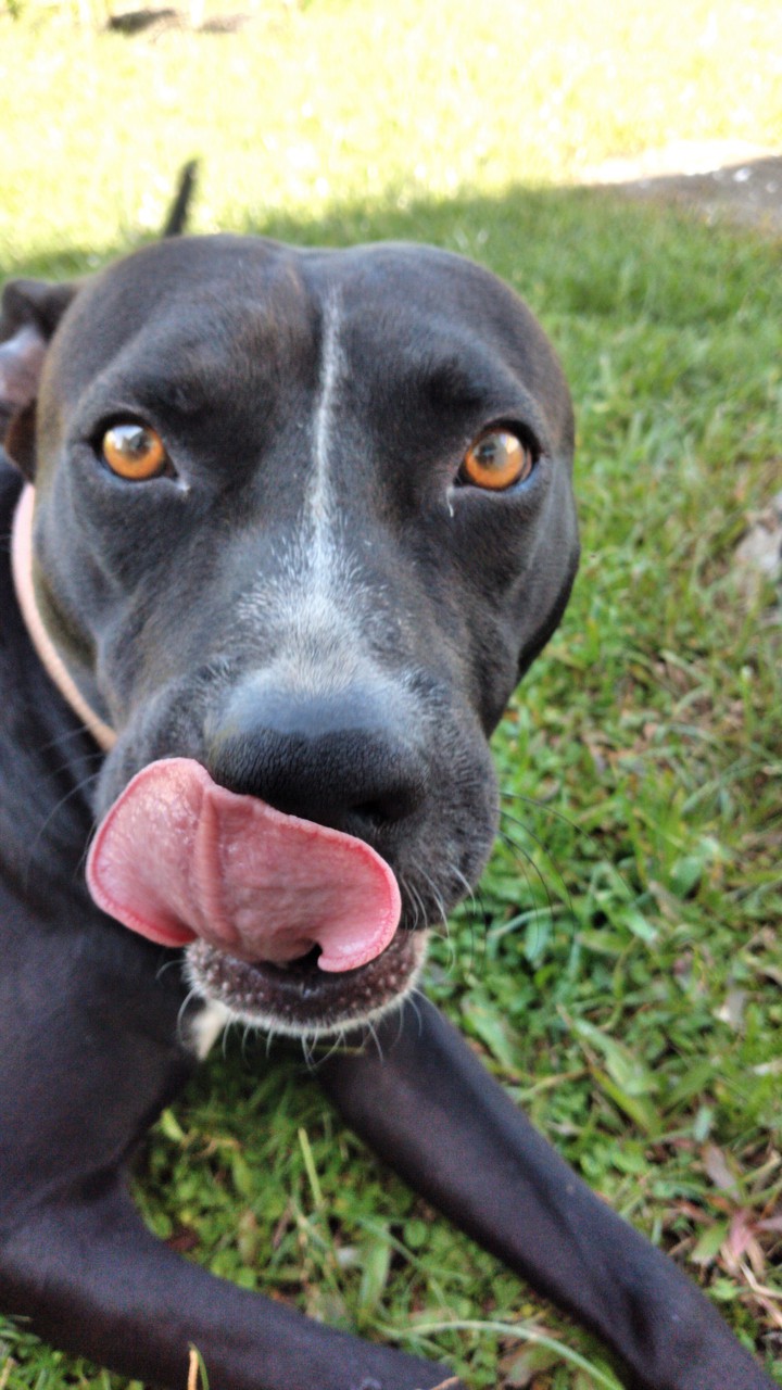 mirada