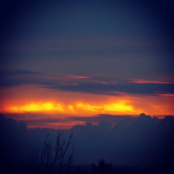 flames of nature