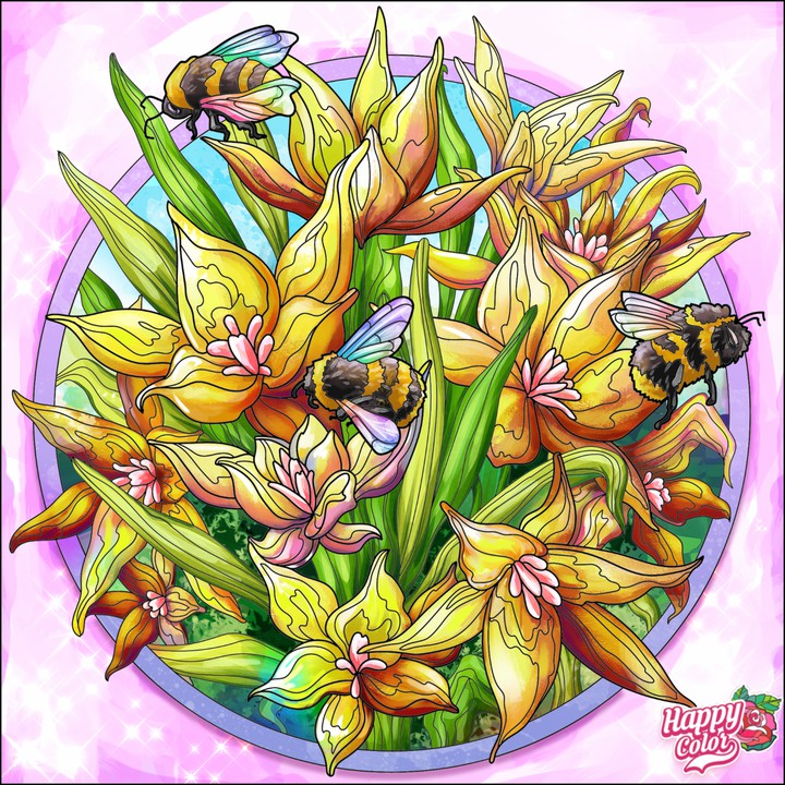 Flores