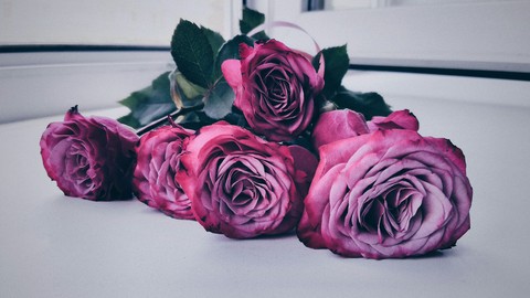 Cluster rose