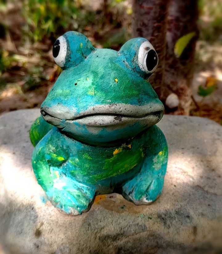 Froggy