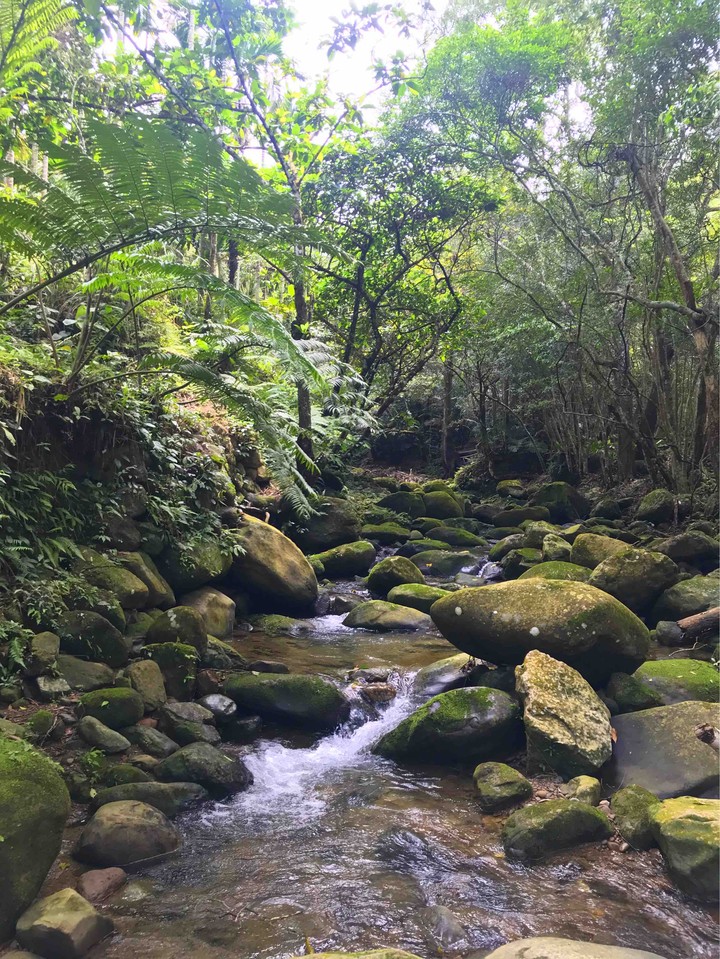 Little creek