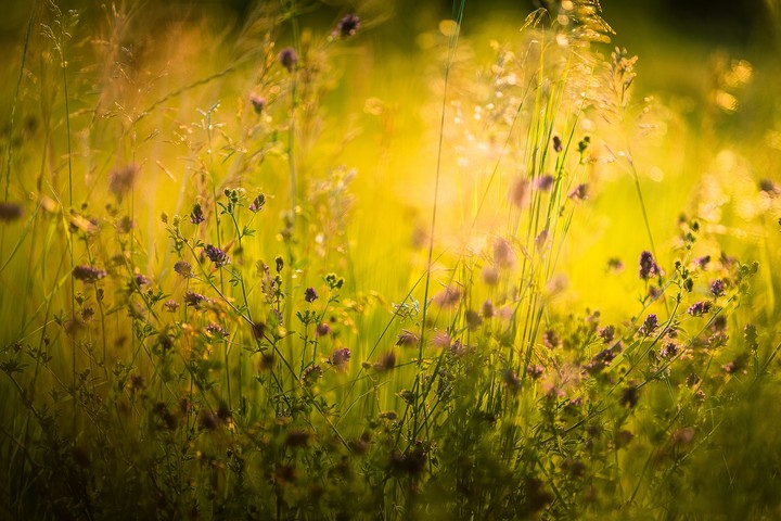 Summer