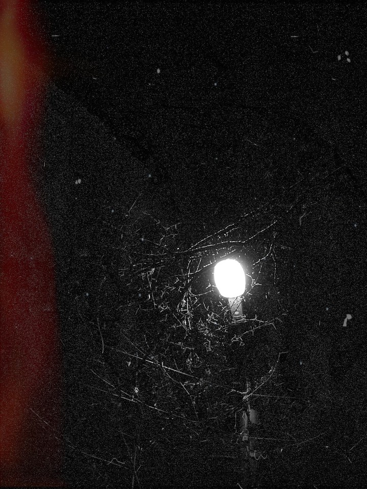 Lantern