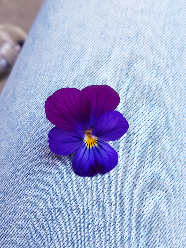 flowers ?