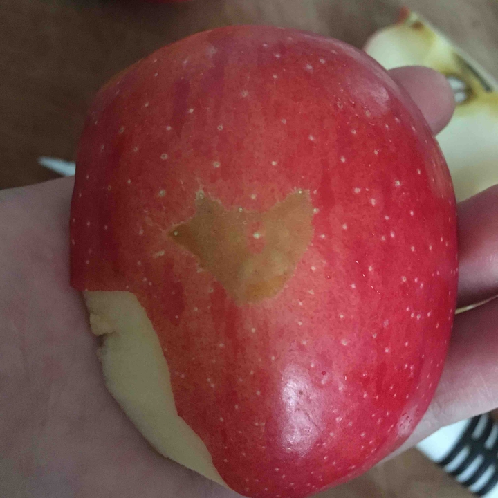 apple ?
