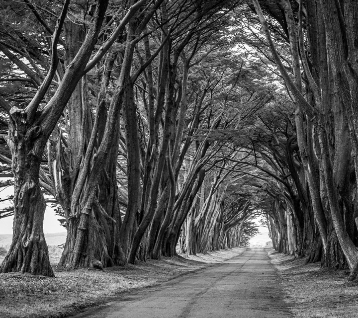 Beautiful path