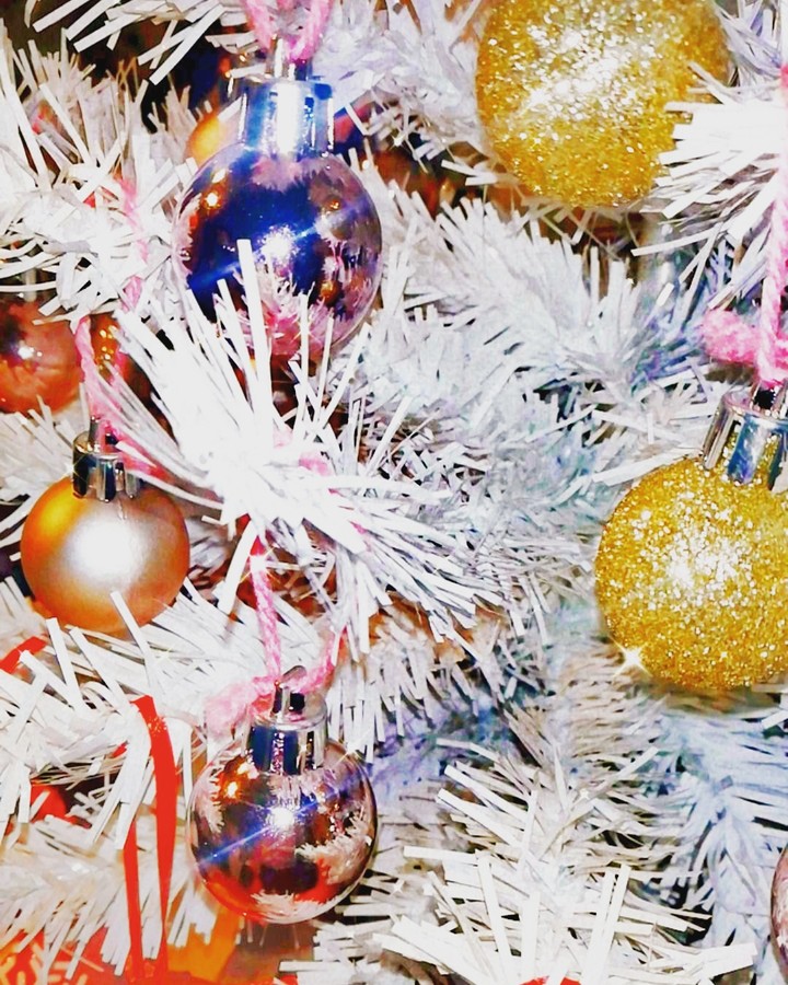 I wanna live in a Christmas tree