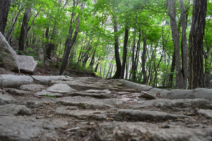산이미지