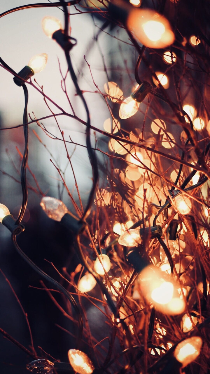 fall lights