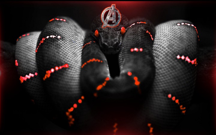 snake
