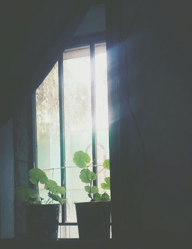 Facing sunshine