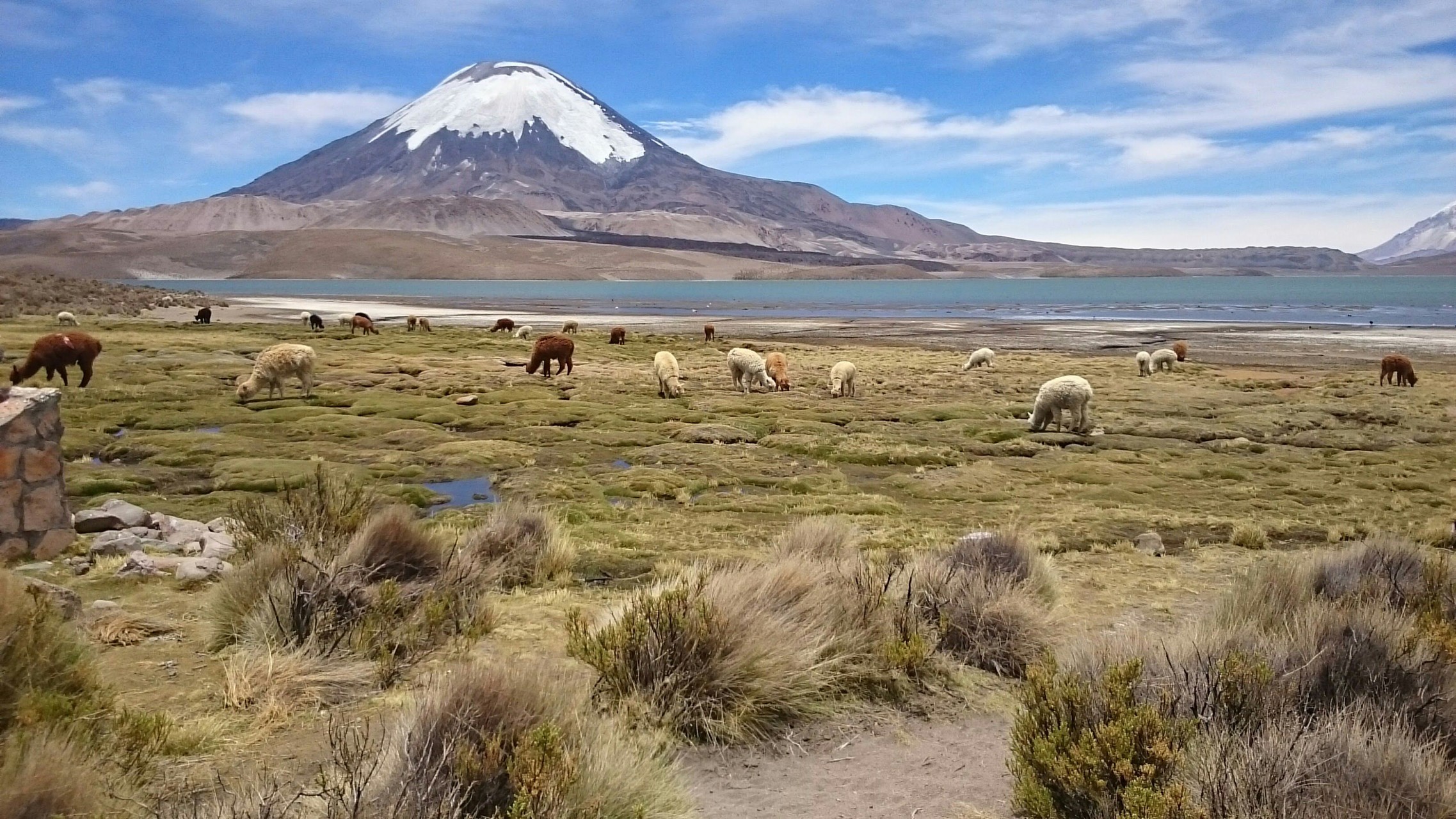 lago chungara, Arica Chile