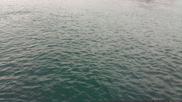 Water