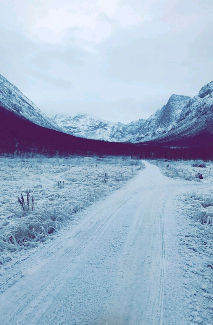 white road