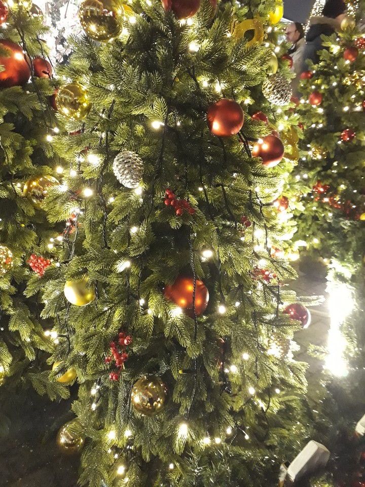 Christmas trees.Moscow.Red Square.