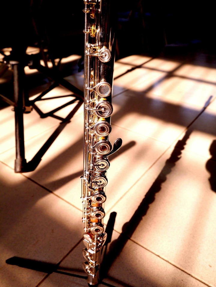 flute